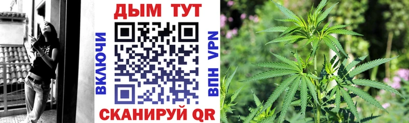 Канабис сатива  Купить  Спас-Клепики 